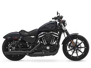 Iron 883