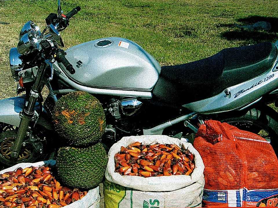 Suzuki Bandit 1200 Suzuki Bandit 1200