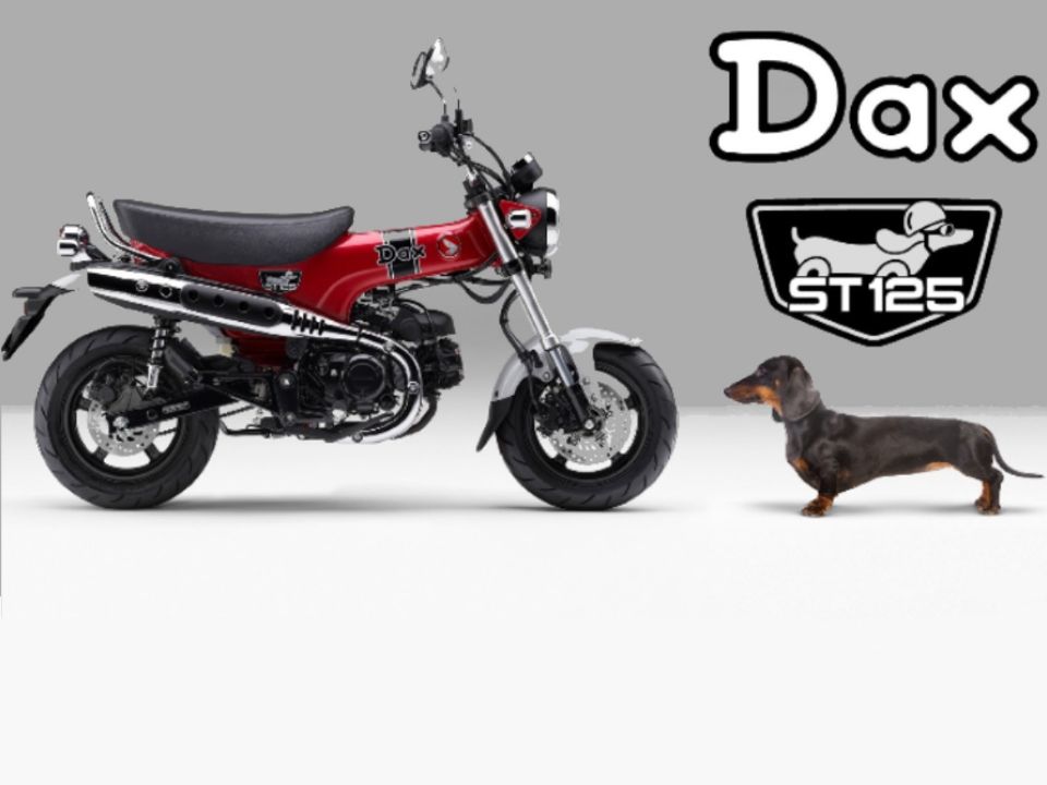 Moto ou cão? Essa é a Honda Dax 125