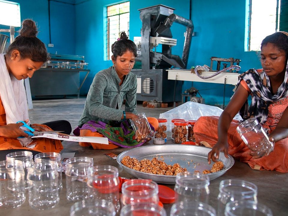 Projeto visa ajudar mulheres indianas na criação de novas fontes de renda