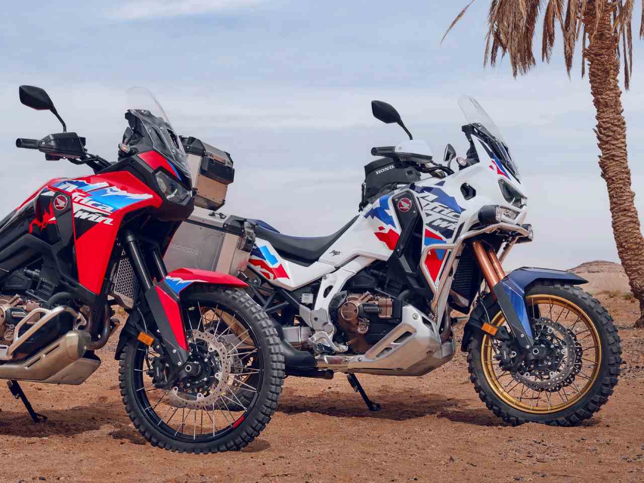 HondaCRF 1100L Africa Twin 2024 - 3/4 frente