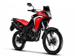 Sahara 300