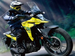 SuzukiV-Strom 250 SX