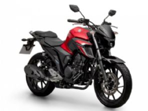 Fazer FZ25