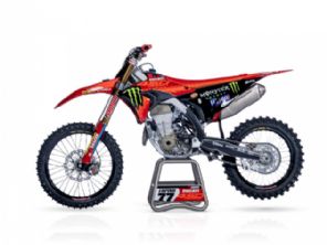 Desmo450 MX