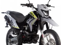 Bull BMT-180