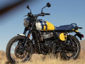 Bear 650