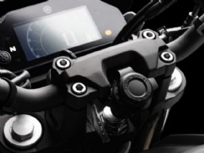 Fazer FZ25