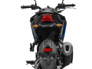 NHX 190