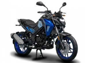 NHX 190