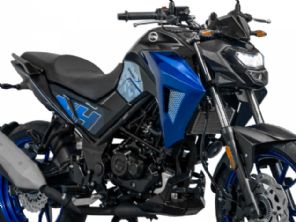 NHX 190