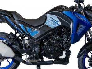NHX 190