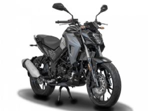 NHX 190
