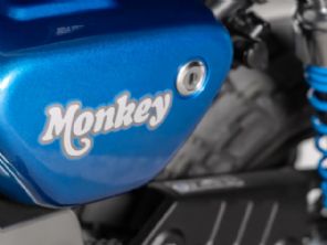 Monkey