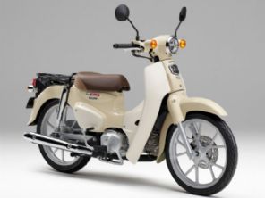 Honda�Super Cub 110 Lite