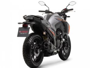 Fazer FZ25