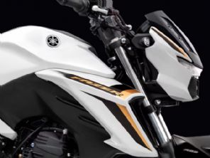 Fazer FZ25