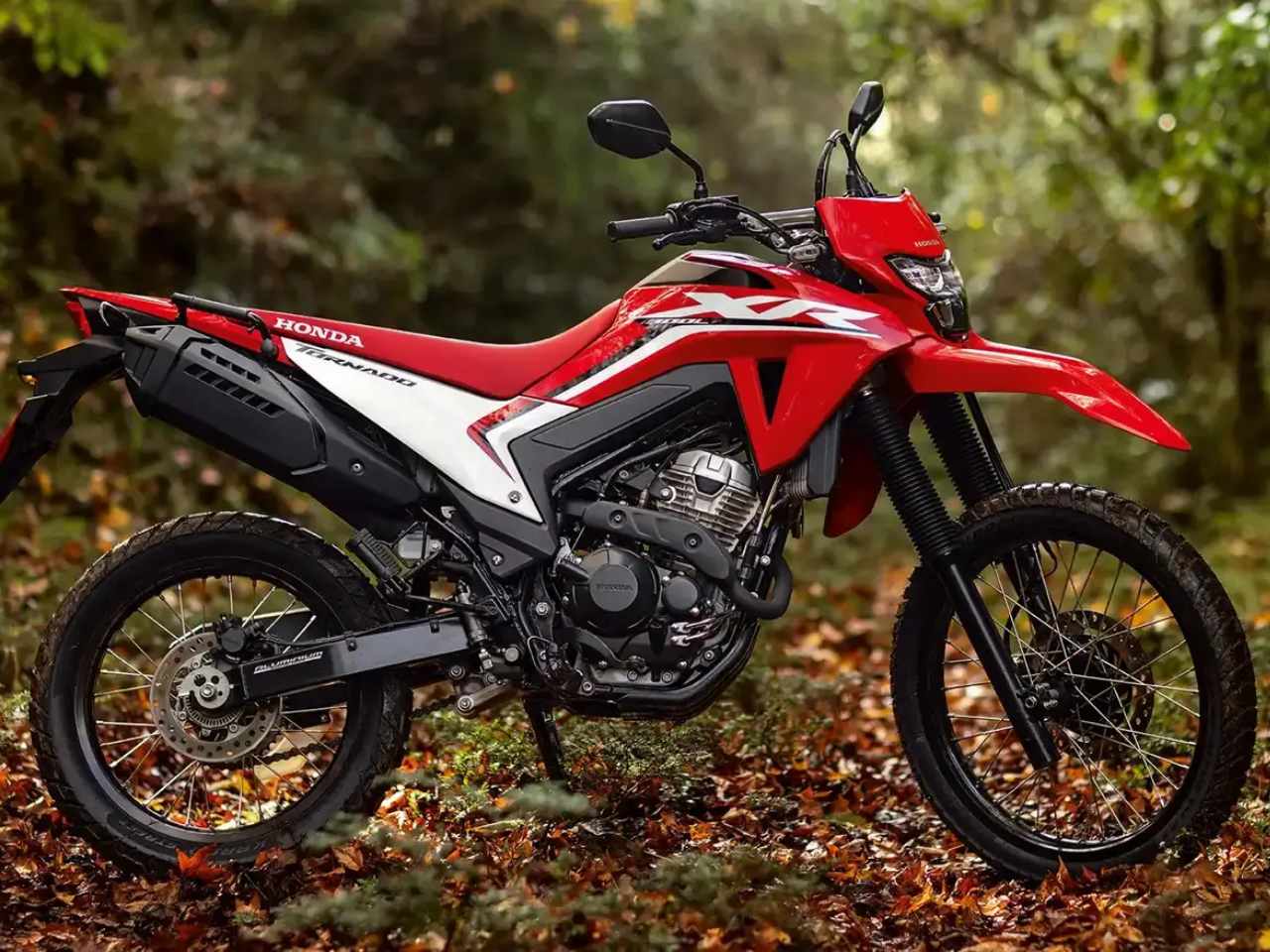 Honda�XR 300 L Tornado 2026 - 3/4 frente