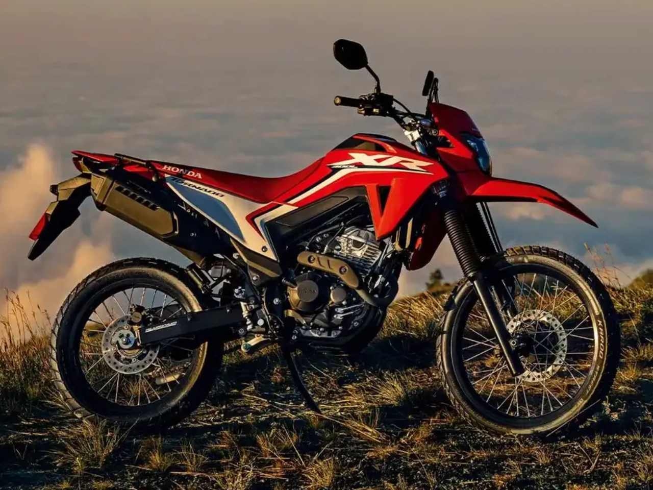 Honda�XR 300 L Tornado 2026 - 3/4 traseira