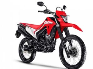 XR 300 L Tornado