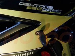 Daytona 660