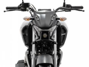 Fazer FZ15