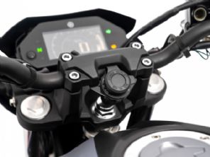 Fazer FZ25