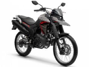Yamaha�Lander