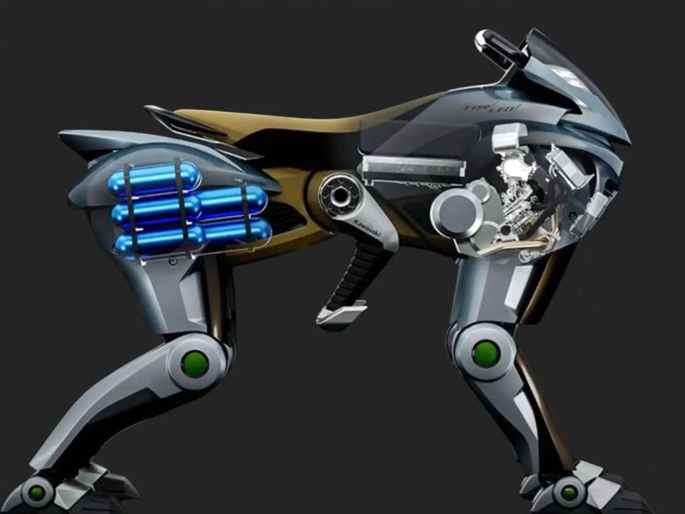 Corleo Kawasaki