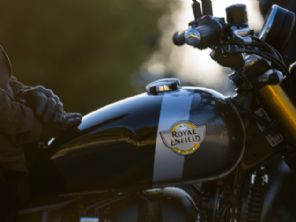 Bear 650