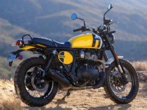 Bear 650