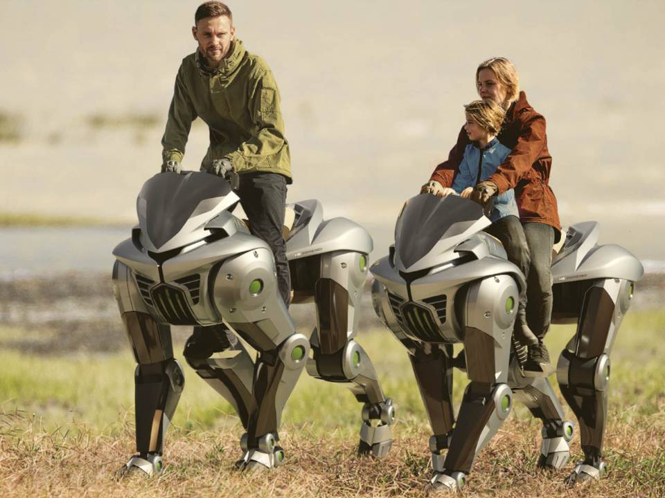 Kawasaki Corleo