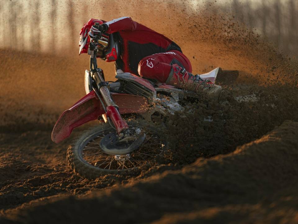 Ducati Desmo450 MX Factory 2026