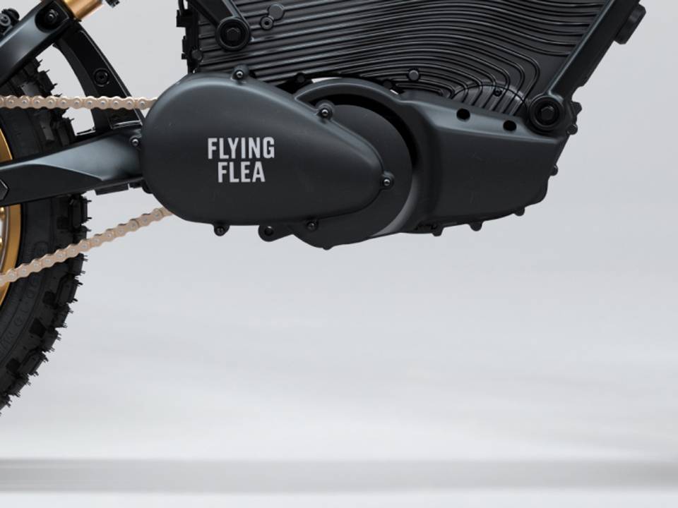 Flying Flea S6