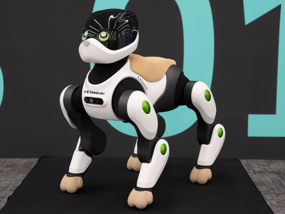 Kawasaki Home LEO