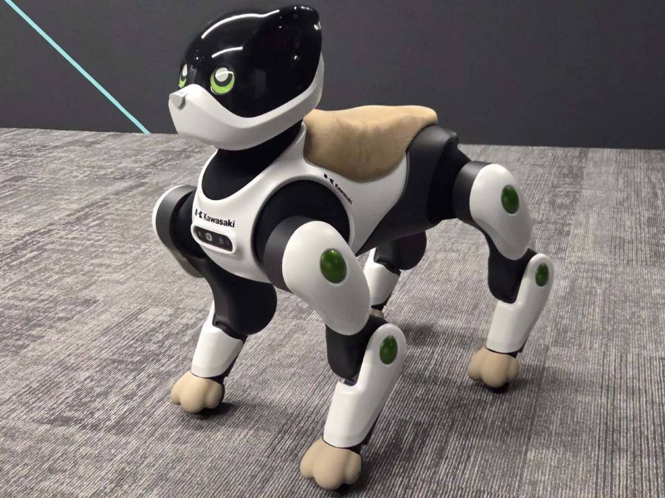 Kawasaki Home LEO