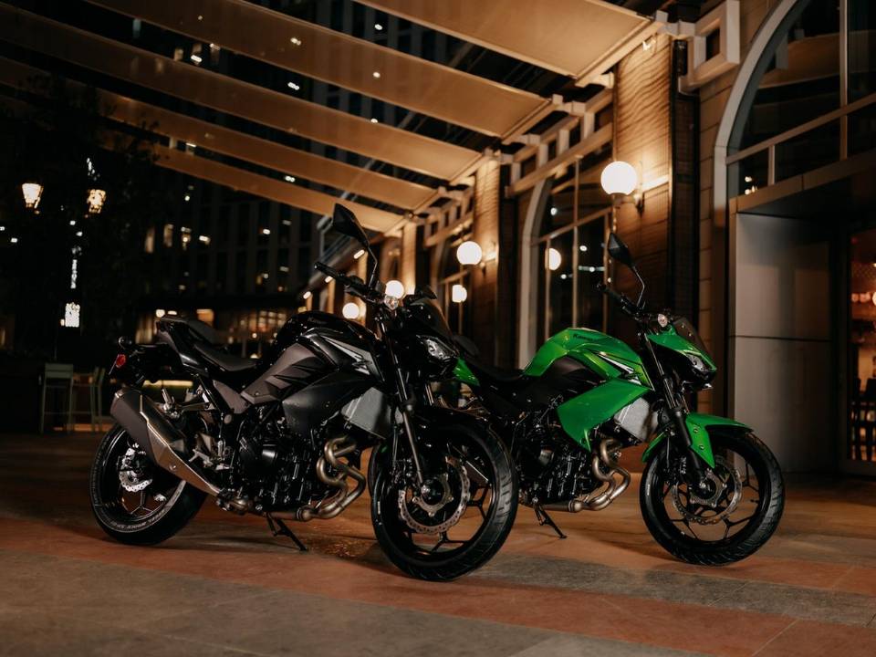 Kawasaki Z300 2027