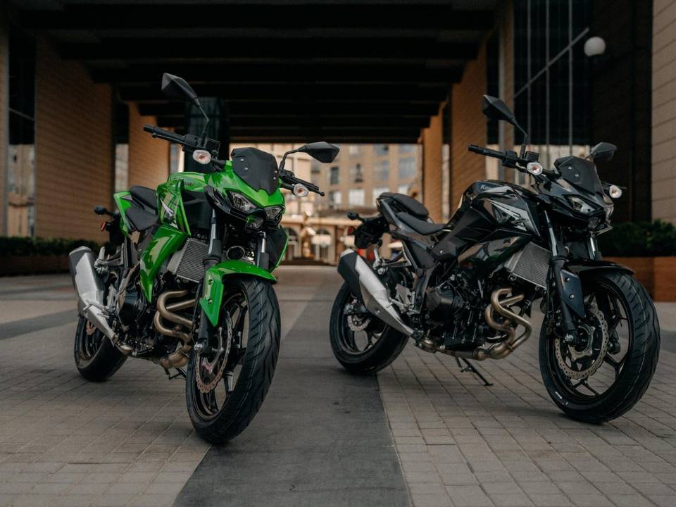 Kawasaki Z300 2027