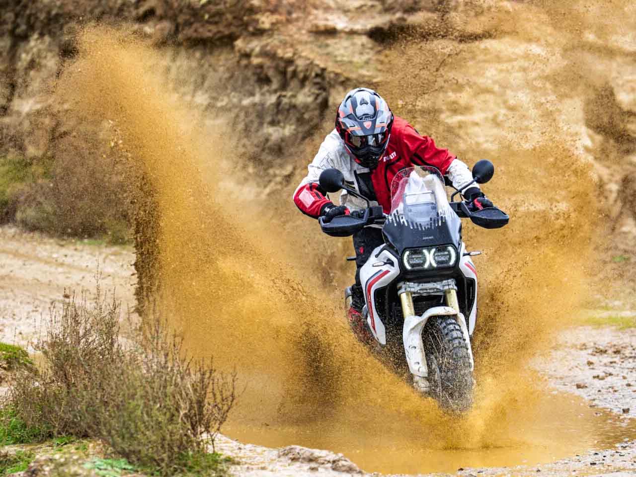 Ducati�DesertX 2026 - frente