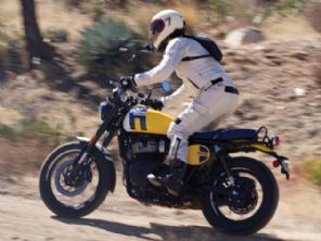 Bear 650