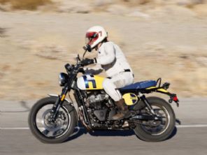 Bear 650