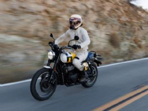 Bear 650