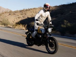 Bear 650