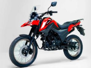 Shineray�SHI 175