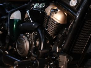 Napoleon Bob 125