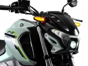 Fazer FZ15