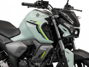 Fazer FZ15